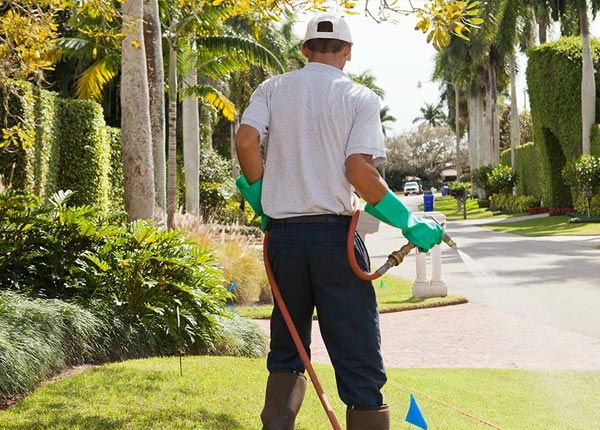 About Dowelltown TN Pest Control Pros